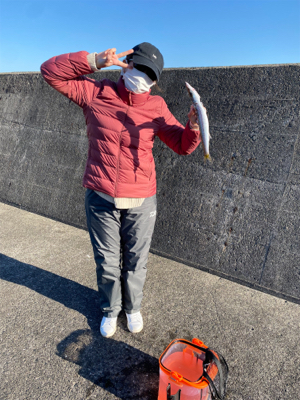 串本では２回目の