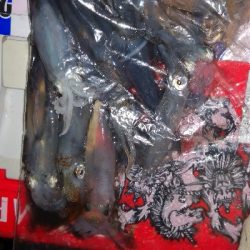 アジング練習350 爆風ライトエギング