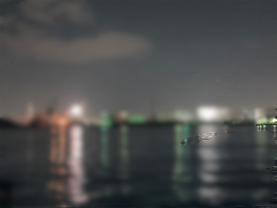 大阪湾奥アジング