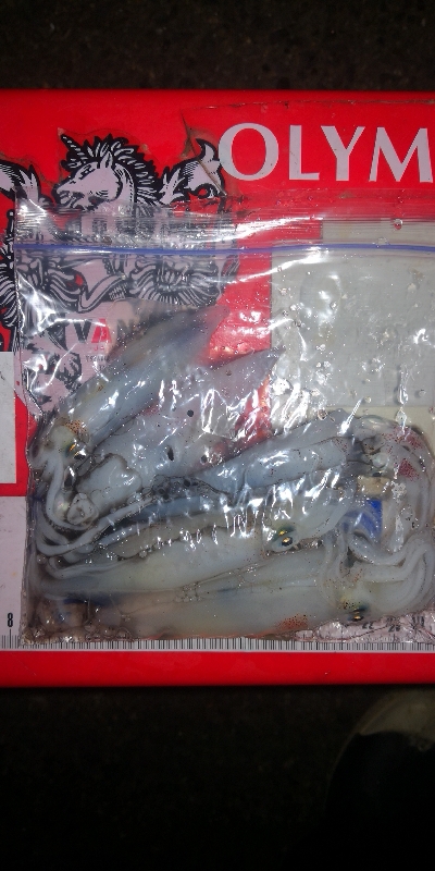 アジング練習354 ライトエギング5