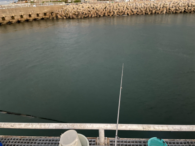 豊浜　イワシ祭り2021