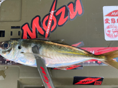 スプリットで型狙い