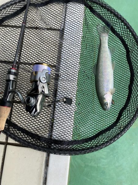 かめプーでエリアトラウト