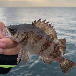 納竿釣行>* ))))><