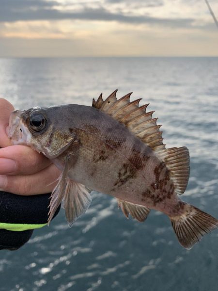 納竿釣行>* ))))><