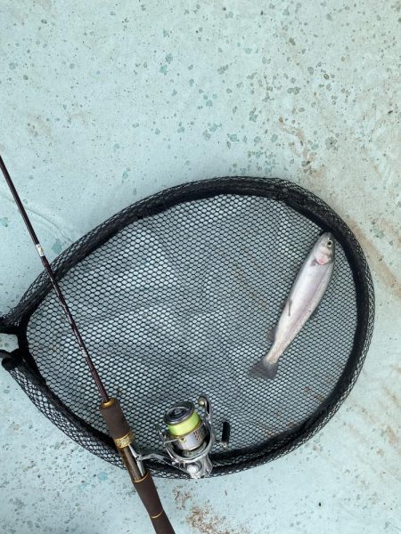 かめプー　本年最終日