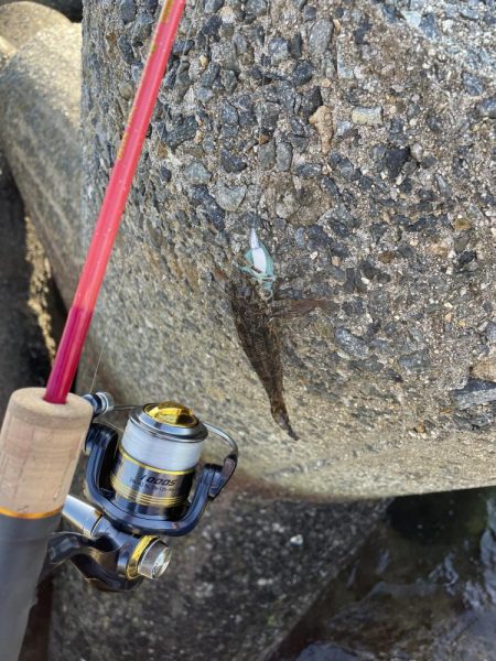 ジグワームで底物狙い