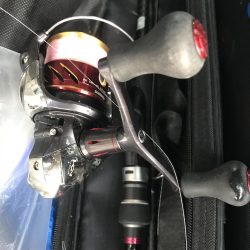 太刀魚、カマス、アジ、サバGET