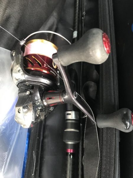 太刀魚、カマス、アジ、サバGET