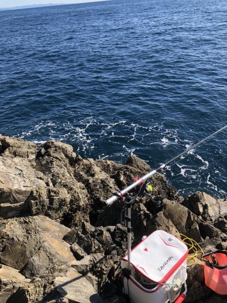 沖磯でグレ釣り