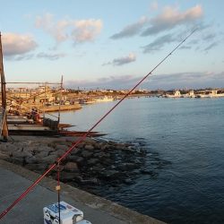 江井ヶ島へ連投