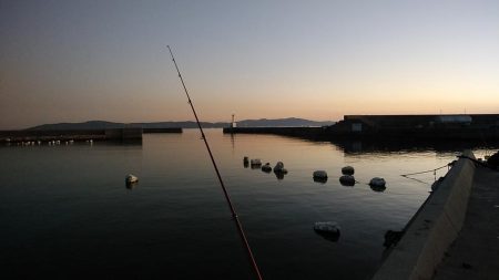 近場のキスが釣れなくなりました