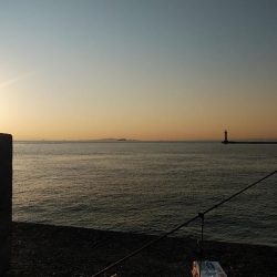 ラスト播磨新島釣行