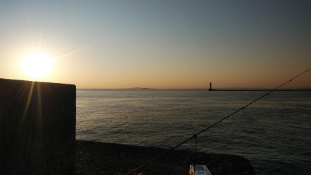ラスト播磨新島釣行