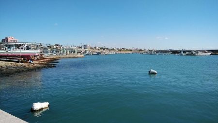 江井ヶ島で良型キスが釣れました