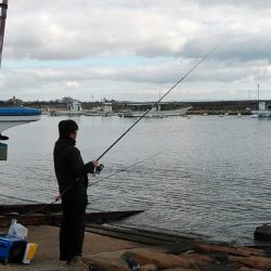 朝の時合いを狙いました