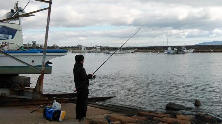 朝の時合いを狙いました