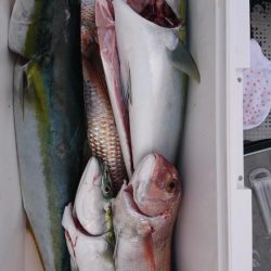 ジギング船内竿頭ゲット