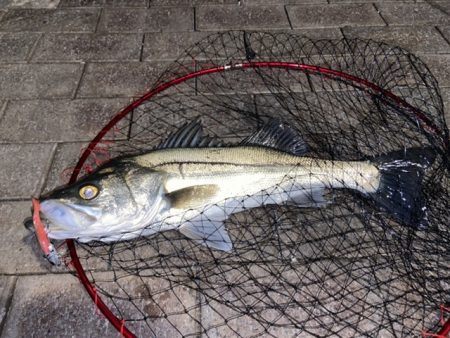 寒さに耐えてランガン