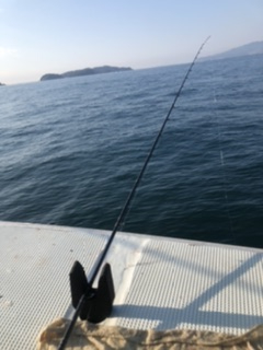 三邦丸早朝便アジサバ　ヒラ？