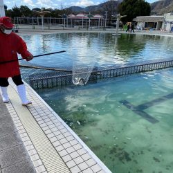 かめプー　トップ激アツ