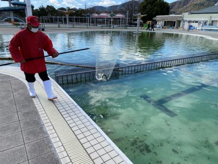 かめプー　トップ激アツ