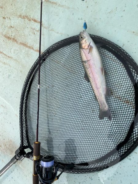 エリアトラウト　京都亀岡