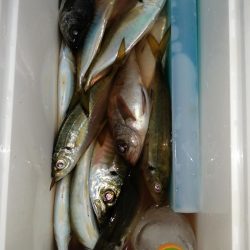 たまにはこんな日も