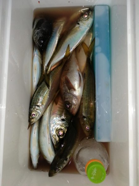 たまにはこんな日も