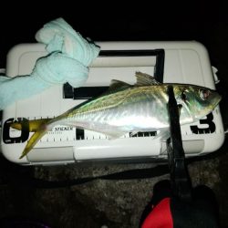 (尺アジ)フロートゲーム