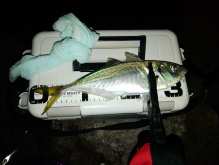 (尺アジ)フロートゲーム