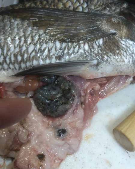 お金で物言わせてきました