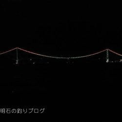 大サバ居ました!