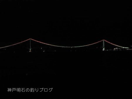 大サバ居ました!