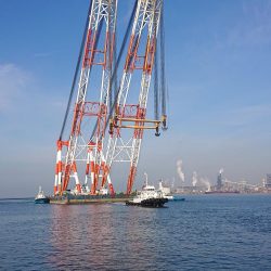 飲ませ釣り終盤戦