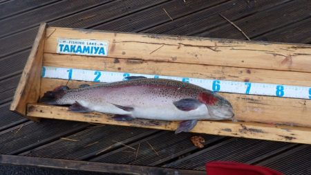 フィッシングレイクたかみや 釣果