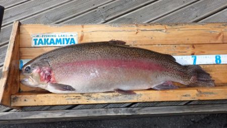 フィッシングレイクたかみや 釣果