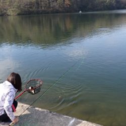 フィッシングレイクたかみや 釣果
