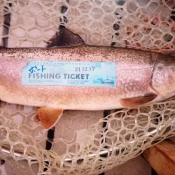 フィッシングレイクたかみや 釣果