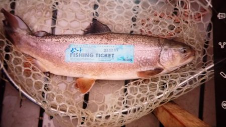 フィッシングレイクたかみや 釣果