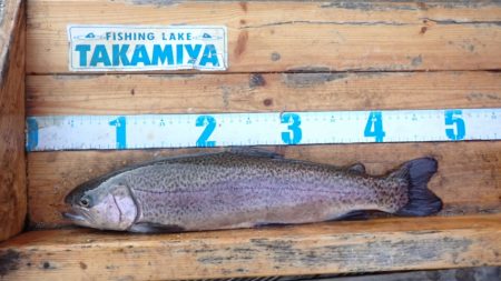 フィッシングレイクたかみや 釣果