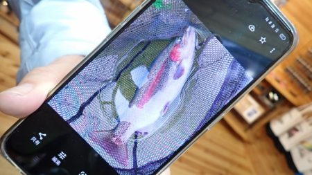 フィッシングレイクたかみや 釣果