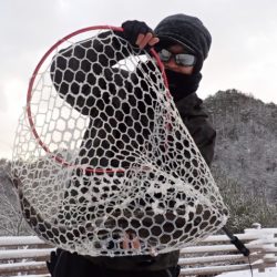 フィッシングレイクたかみや 釣果