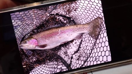 フィッシングレイクたかみや 釣果