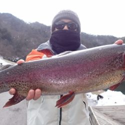 フィッシングレイクたかみや 釣果