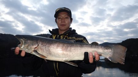 フィッシングレイクたかみや 釣果