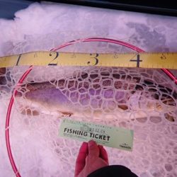 フィッシングレイクたかみや 釣果