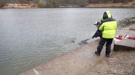 フィッシングレイクたかみや 釣果