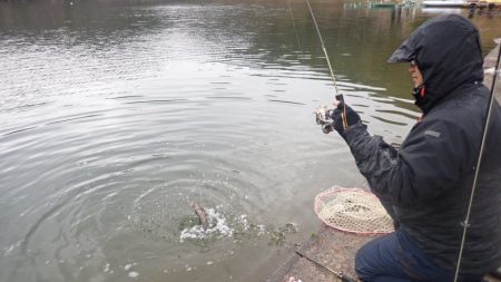 フィッシングレイクたかみや 釣果