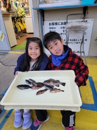 和歌山マリーナシティ釣り公園 釣果